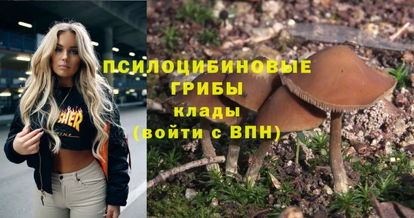 молекула духа Мегион